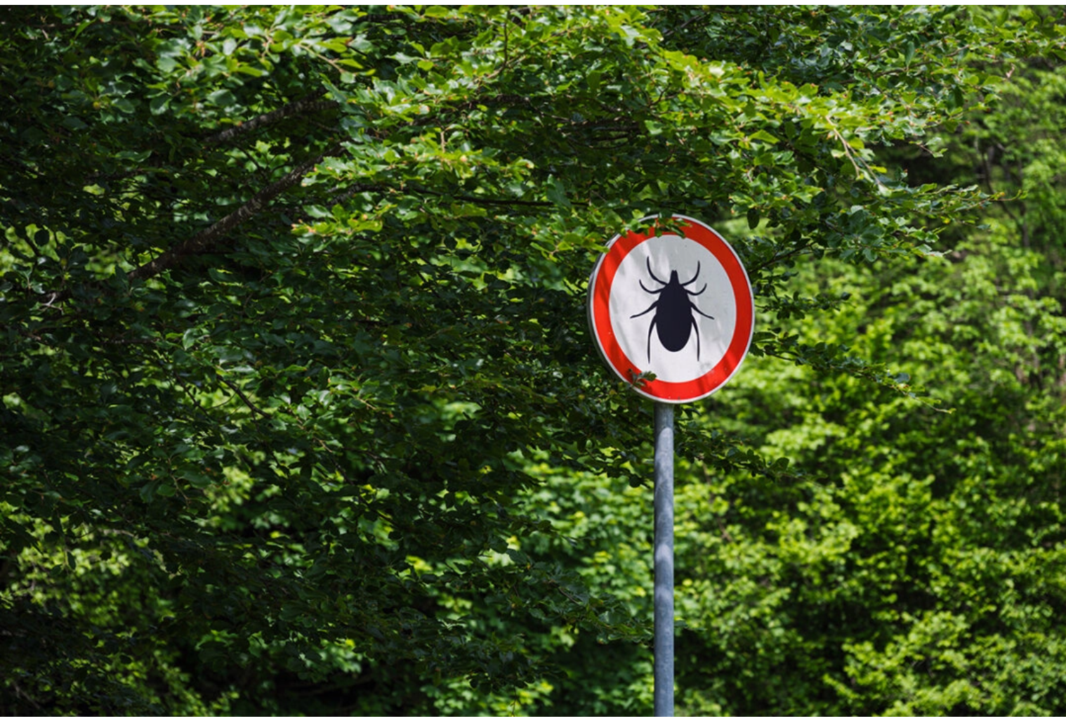 screenshot 2025 12 22 144807