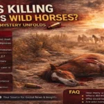 Who Is Killing Arizona’s Wild Horses